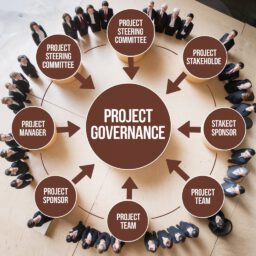 Model of project governance